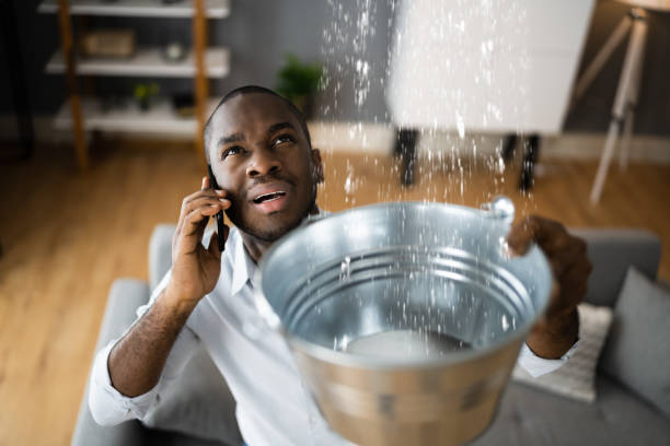 Best Water damage contractors near me  in Antwerp, OH