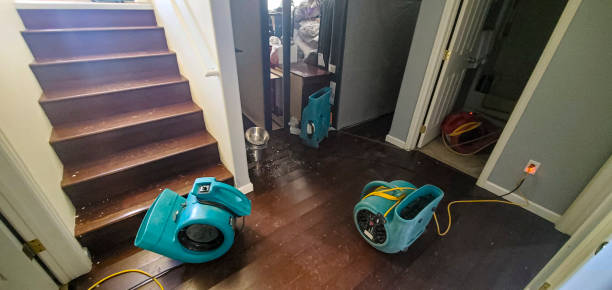 Best Sewage cleanup and water damage restoration  in Antwerp, OH