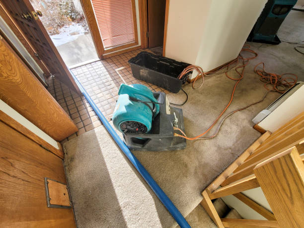 Best Commercial water damage restoration  in Antwerp, OH