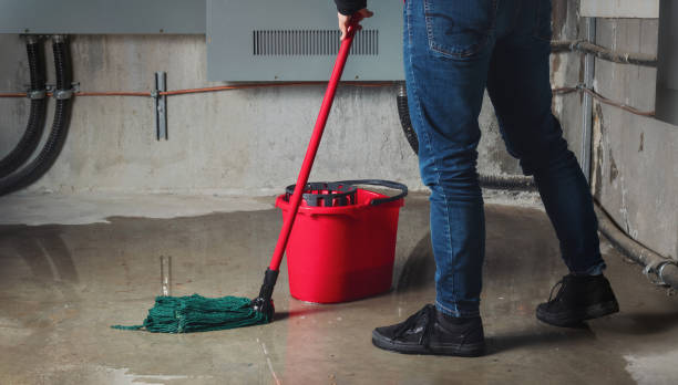 Best 24-hour water damage restoration  in Antwerp, OH