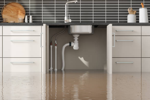 Best Emergency water damage restoration  in Antwerp, OH