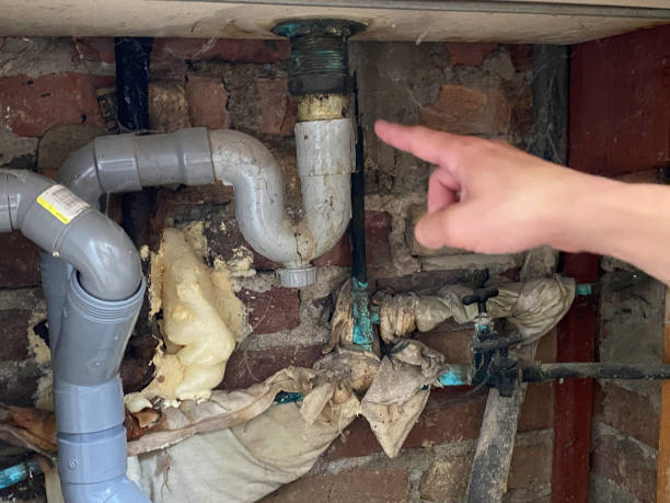 Best Water damage restoration near me  in Antwerp, OH
