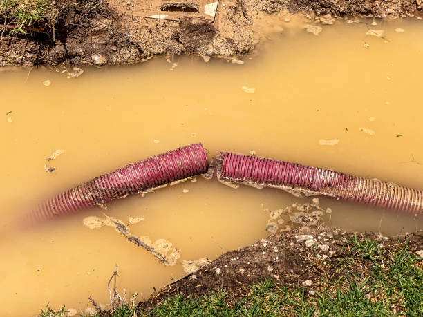 Best Professional water damage repair  in Antwerp, OH